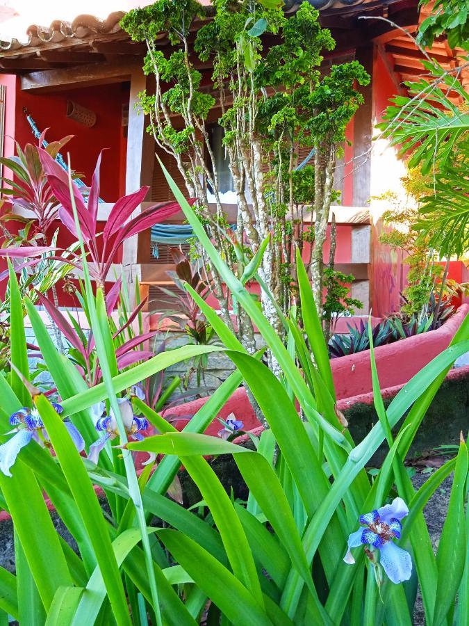 Novos Baianos Hostel E Pousada Porto Seguro Extérieur photo A garden in the city